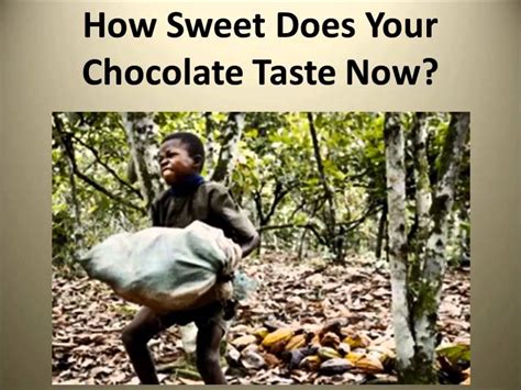I love chocolate. . Does ghirardelli chocolate use child labor